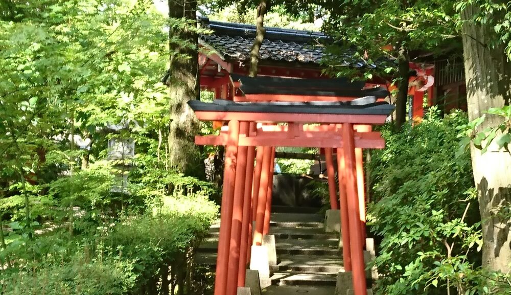 金澤神社禰宜から学ぶ神社参拝の正しいお作法